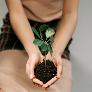 What is the typical purity of your peptides?