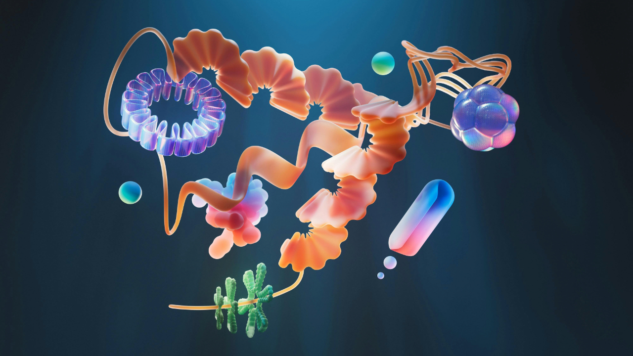 Buy Peptides: Which Methods Support Valid Sci