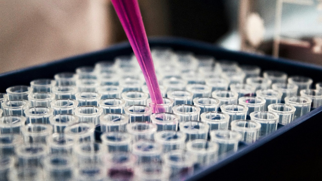 Is There a Single Best Peptide for All Invest