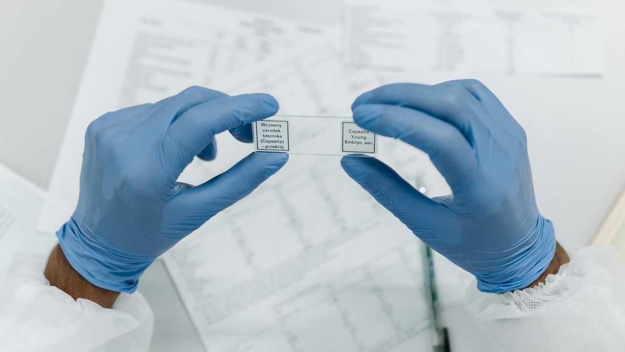 In What Ways Does Peptide Science Overlap wit